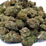 Cannabis legalisieren, oder nicht? auf konsumguerilla.net
