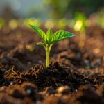 Torffreie Blumenerde: Was gute Erde wirklich enthalten sollte auf konsumguerilla.net